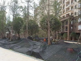 綠化工程