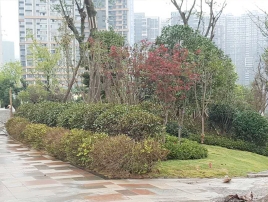 綠化工程